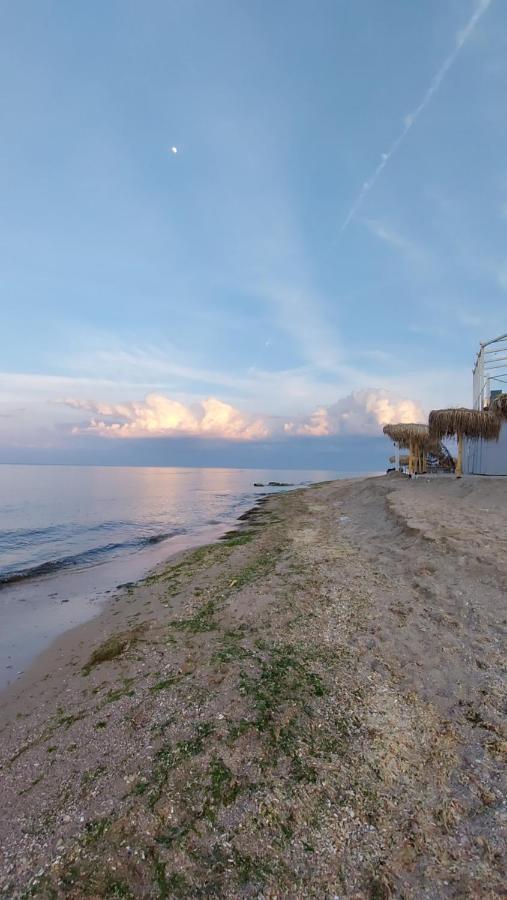 Casa IV Hotel Vama Veche Ngoại thất bức ảnh
